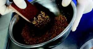 Topping for ice cream -