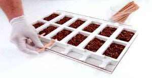 Topping for ice cream -