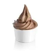 Chocolate Ice Cream powder ingredient