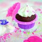 Topping for ice cream -