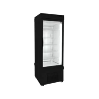 Vertical Freezer