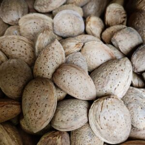 Almonds