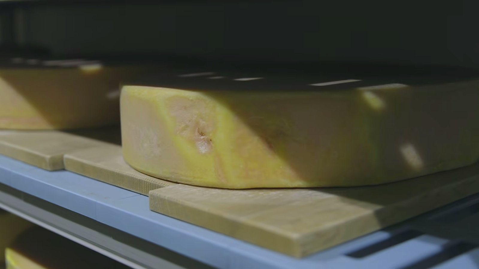 Cheese wheels ageing on timber shelves.