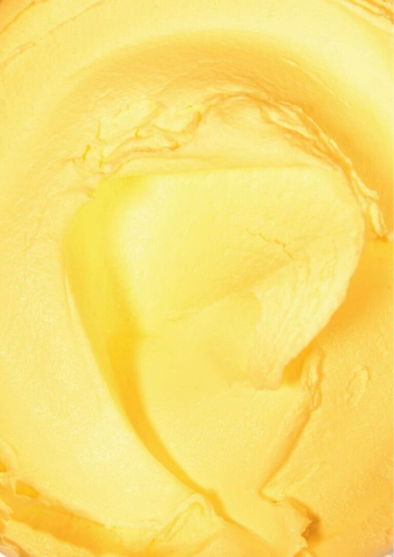 Orange Sorbet made with the Carpigiani ReadyChef