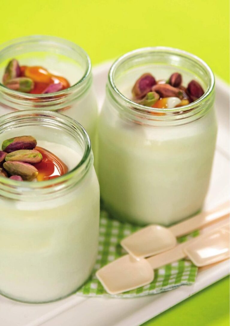 Yoghurt Gelato made with the Carpigiani ReadyChef
