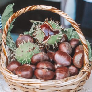 Chestnuts