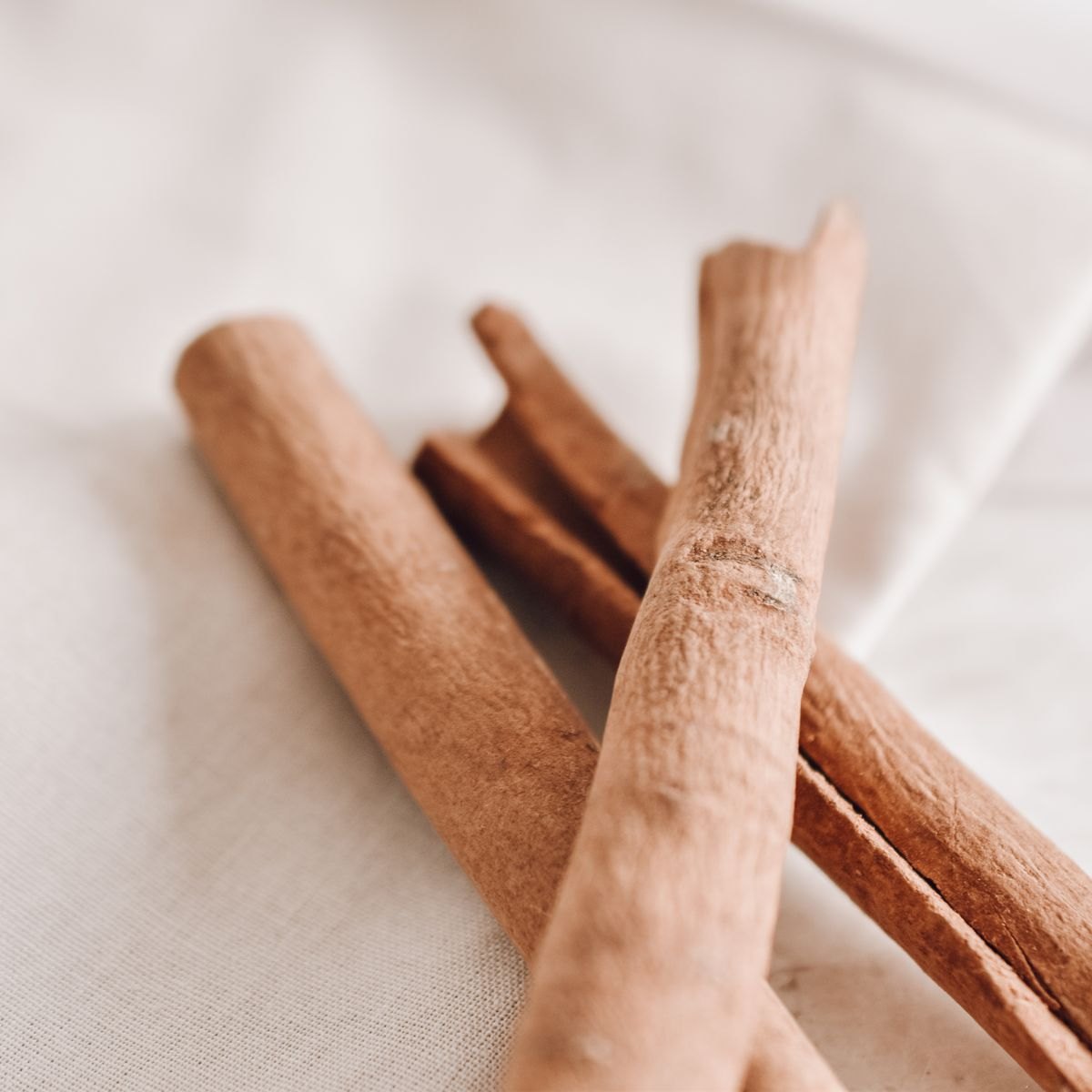Cinnamon Gelato Paste 3 Cinnamon sticks