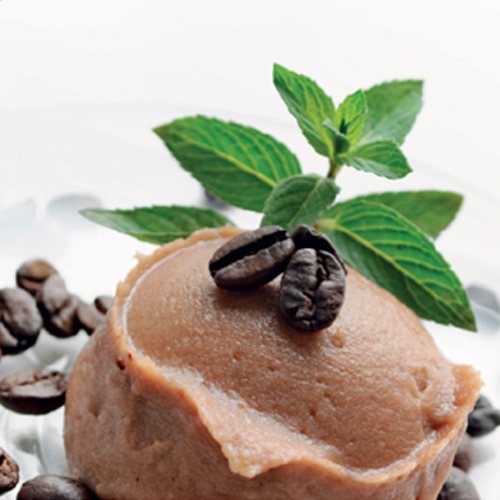 Gelato Recipe Ideas 10 Coffee Gelato Recipe for Freeze&Go