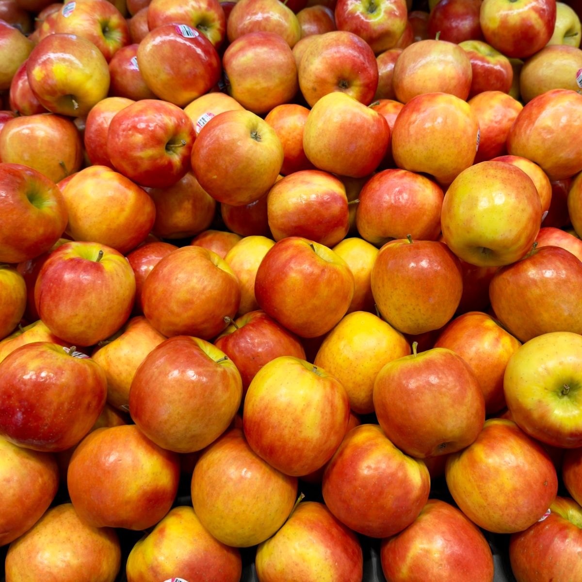 Apple Pie Gelato Paste 2 Fresh apples