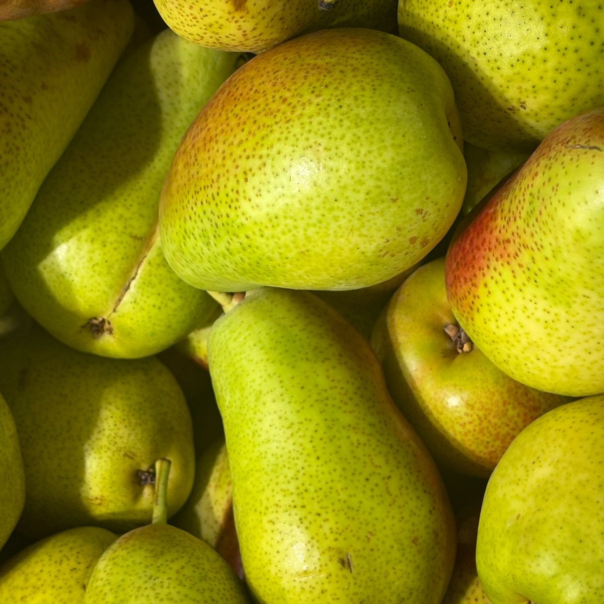 Pear Fruit Paste 2 Fresh pears