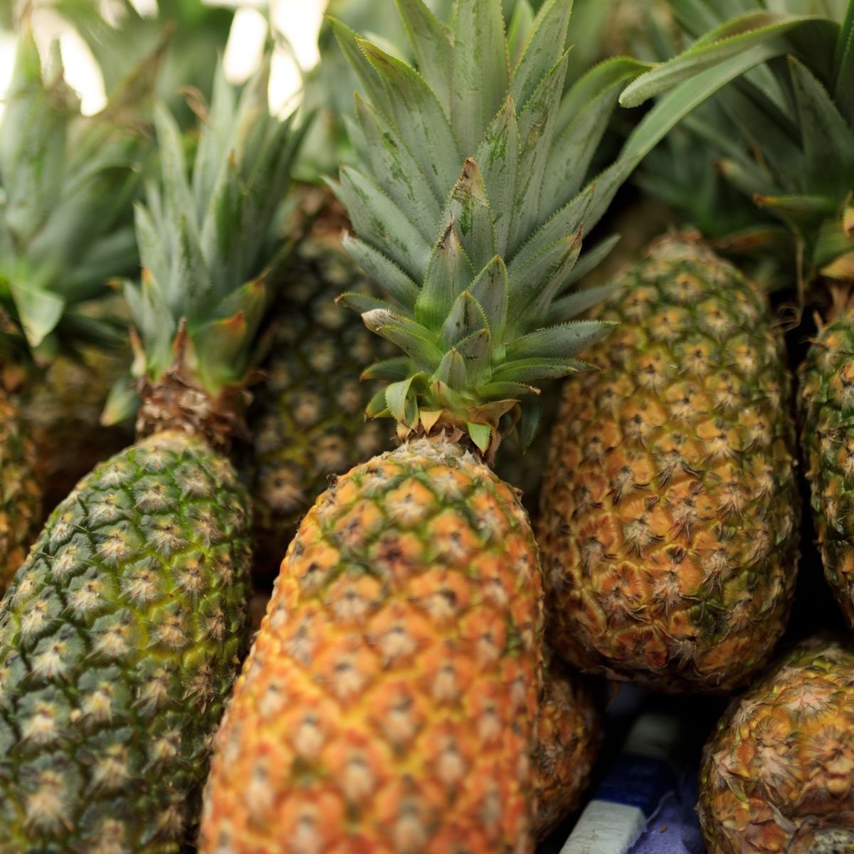 Pineapple Fruit Paste 3 Fresh pineapple