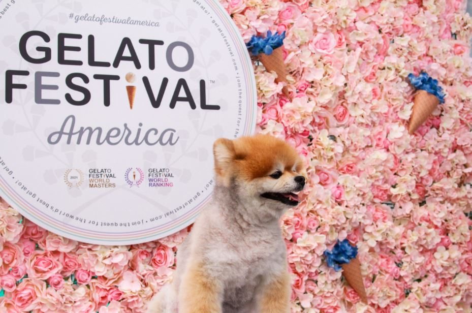 Gelato Festival Announces Its First Flagship Store in Los Angeles 2 Gelato Festival flagship store mascot artwork