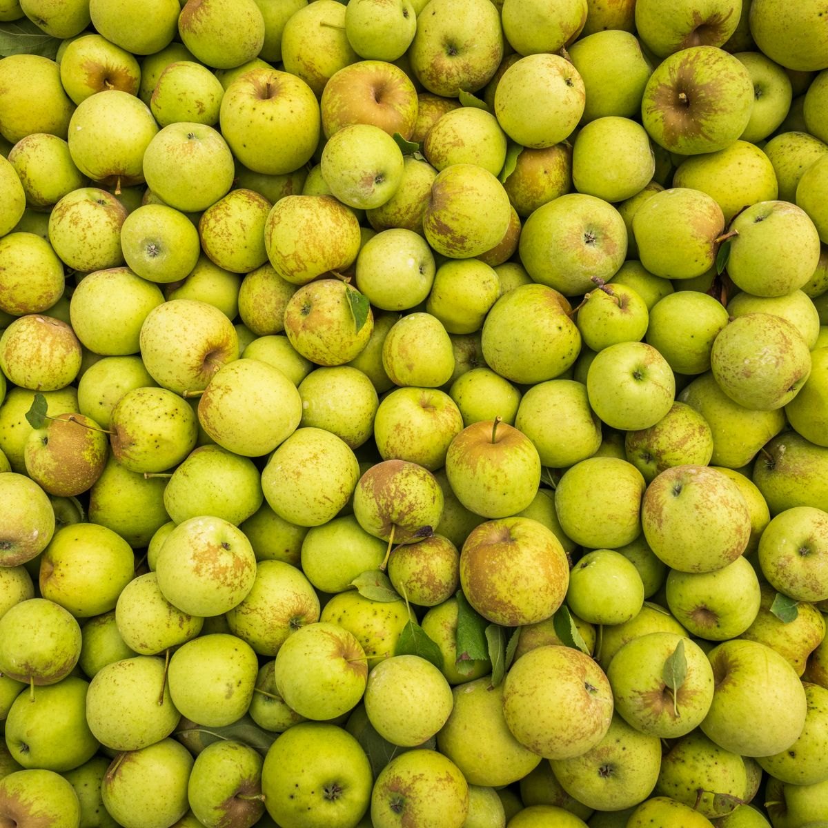 Green Apple Fruit Paste 2 Green apples