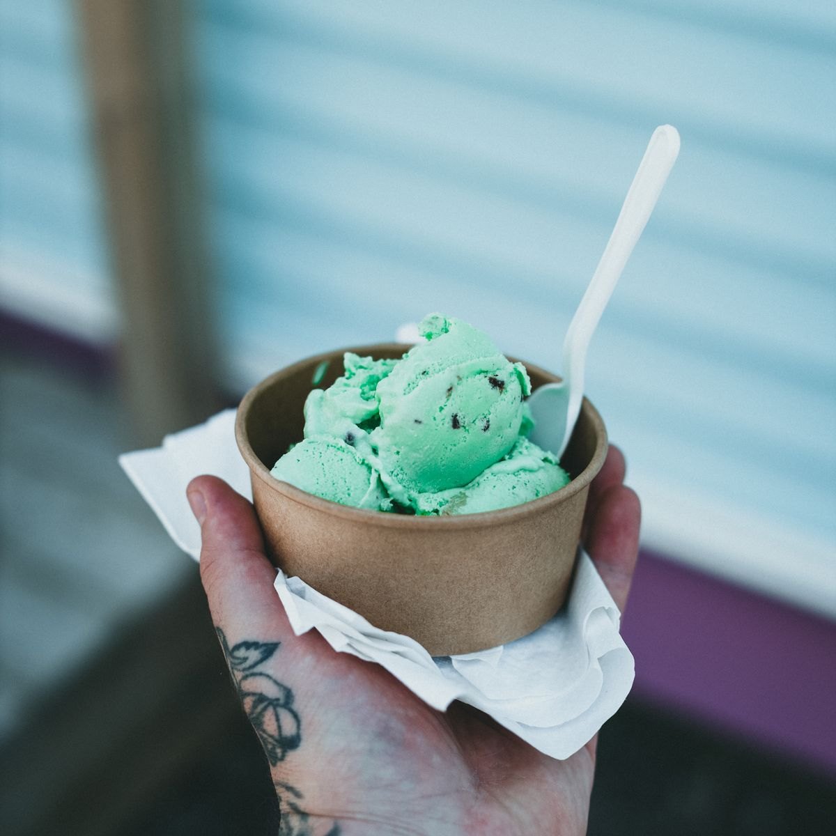 Green Mint Gelato Paste 2 Green mint gelato made with Rubicone ingredients