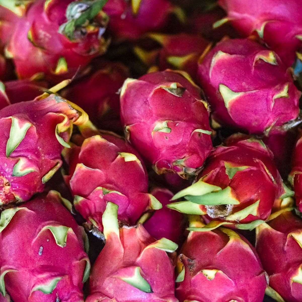 Dragon Fruit Purple Soft Serve Mix 4 Purple dragon fruit