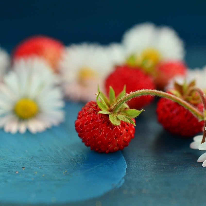 Slush & Granita Ideas 10 Wild berries